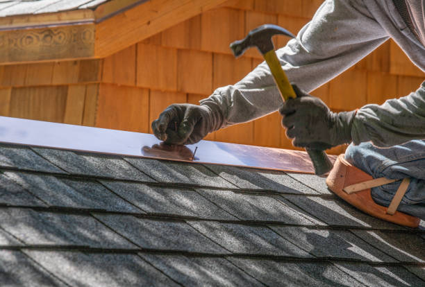 Best Roof Insulation Installation  in Willcox, AZ
