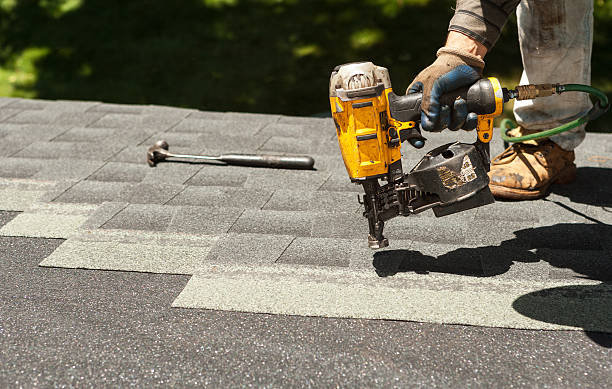 Best Roof Ventilation Installation  in Willcox, AZ