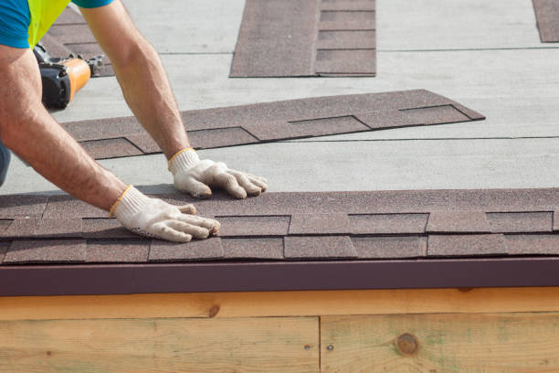 Best Roof Moss and Algae Removal  in Willcox, AZ
