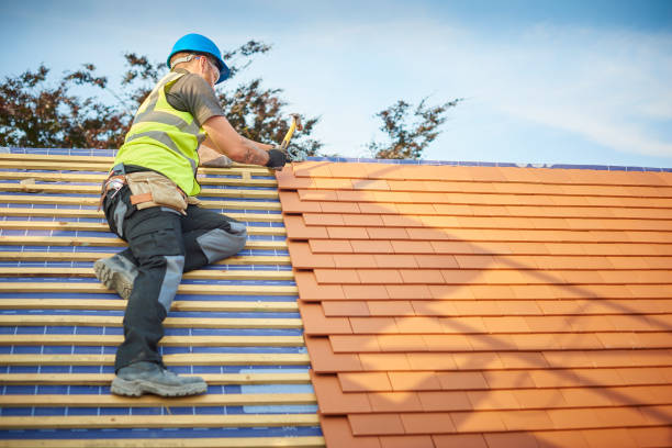 Best Roof Ventilation Installation  in Willcox, AZ