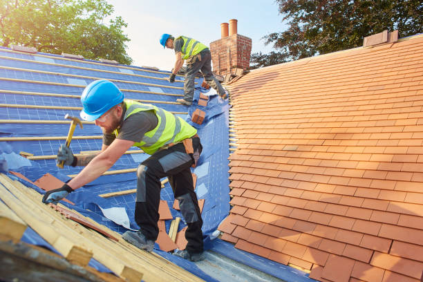 Best Gutter Installation and Repair  in Willcox, AZ